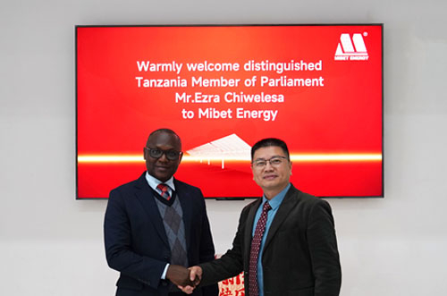 坦桑尼亚能源部长特别代表到访今年会，共同探讨清洁能源合作