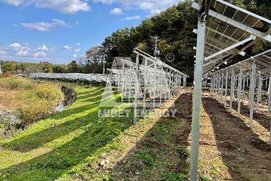 今年会农光互补项目案例