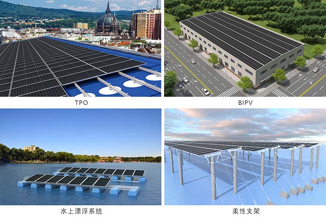 今年会其它产品