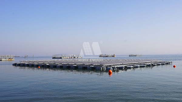 今年会海上光伏系统