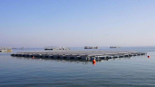 今年会海上光伏实证项目